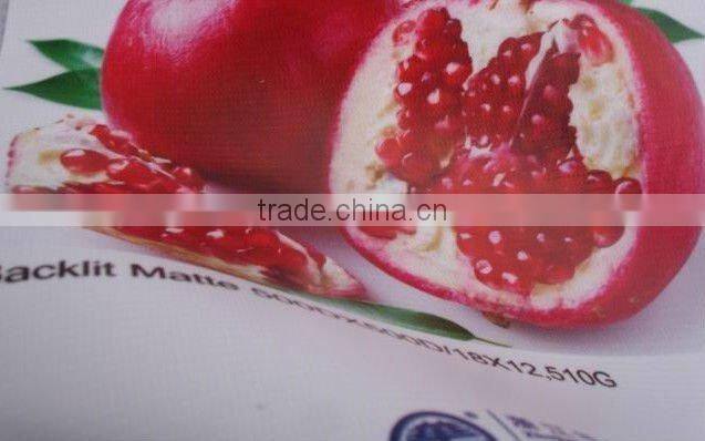 17oz frontlit flex banner 1000*1000 20*20