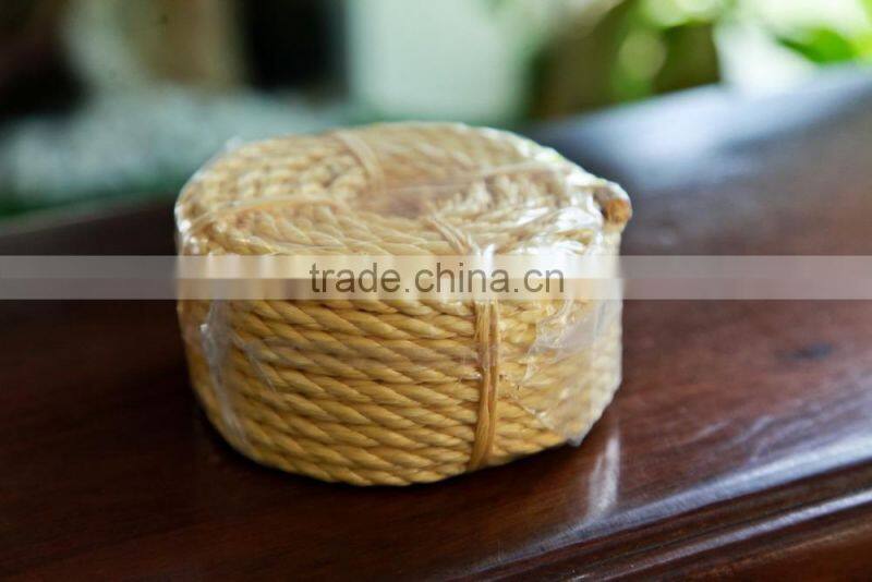 homeuse plastic PP rope