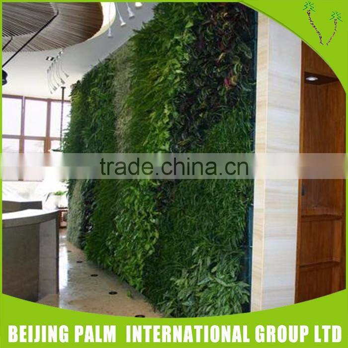 Indoor Various Artificial Garden Wall Covering Cheap Used Office Wall Partitions Artificial Plant