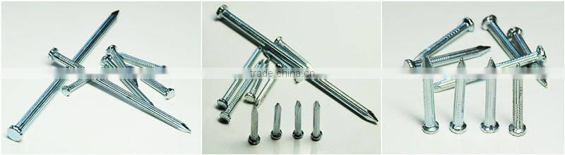 sell cheap galvanized concrete nails/nails