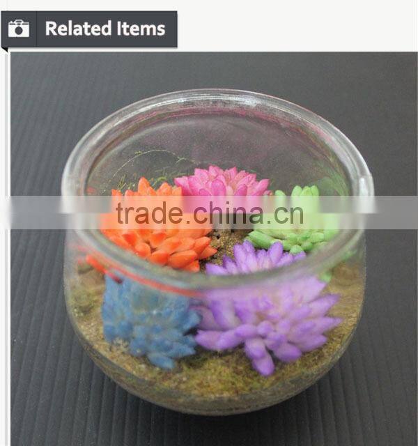 Mini potted succulents plants factory selling mini artificial succulents