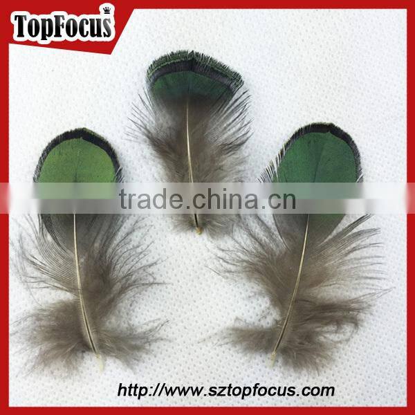 new hot carnival costume trimming fringe green pheasant feathers prices