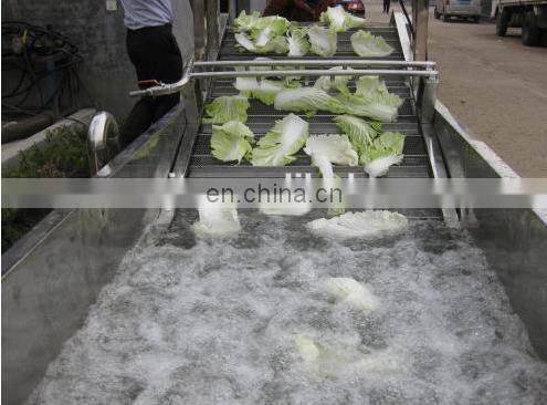 Surfing type vegetable washing machine| stainless steel fruit and vegetable washing machine with CE