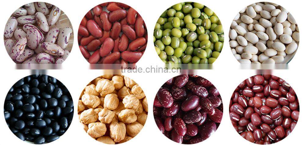 200-220 pcs/100g Chinese Dark Red Kidney Bean Prices