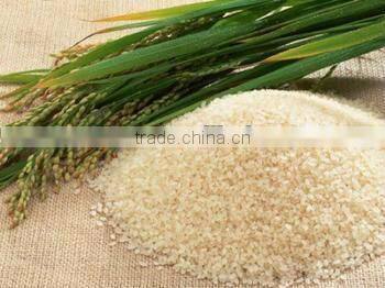 delon imitated Indian rice Production line