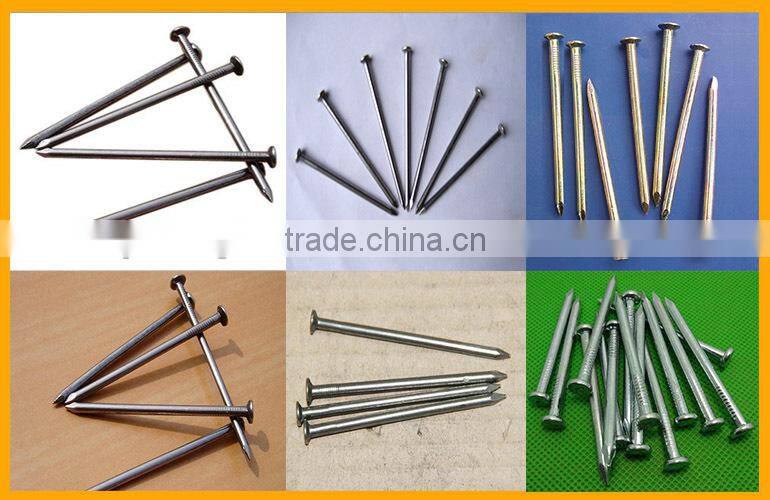 Galvanized Steel Concrete Nail Manufacture