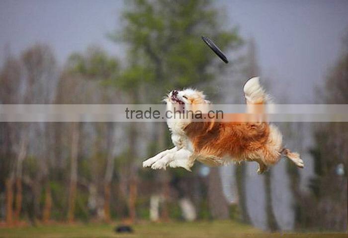 2015 Wholesale professional silicone frisbee, dog toy