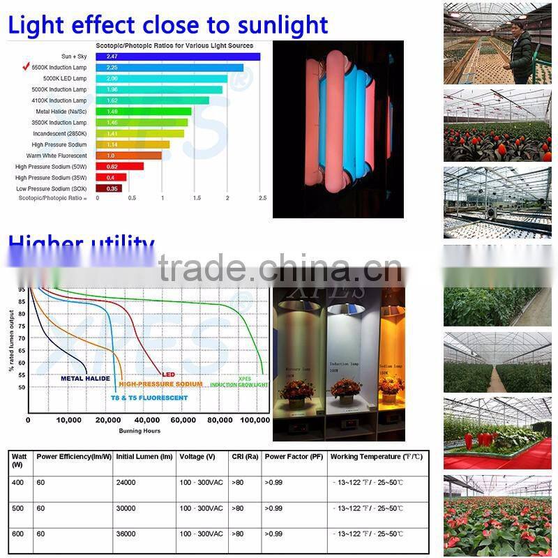 High Efficiency Lumen bi-spectrum induction grow light magnetic 400/500/600watt for medicinal plants