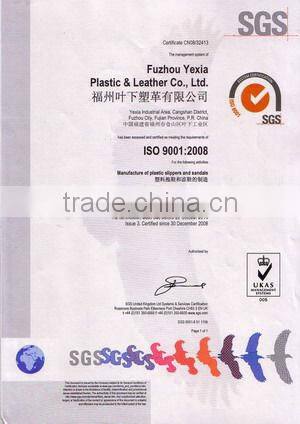 lady beach fashion slipper