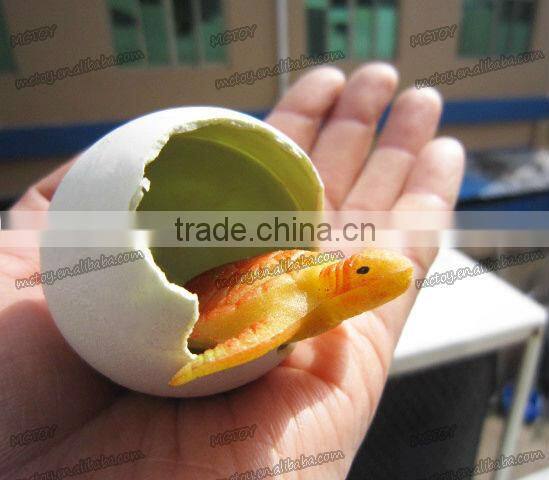 2013 HOT big size magic growing Tortoise chelonian egg children toy wholesale easter