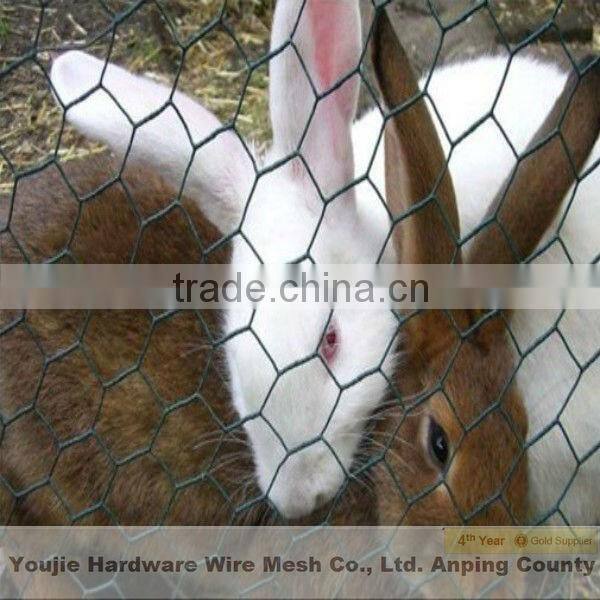 hexagonal wire net (youjie manufacturer)