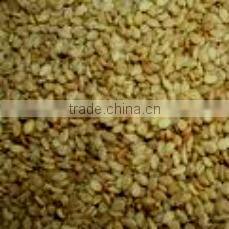 High Quality Good Taste Sesame Seeds
