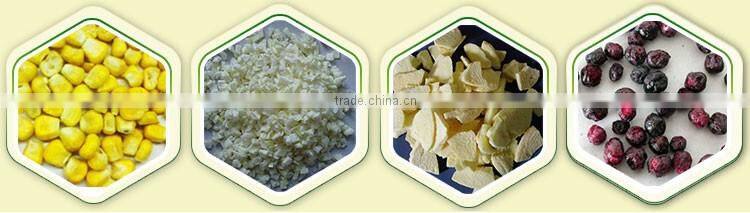 Freeze Dried Fruit Freeze-Dried Strawberry Slice