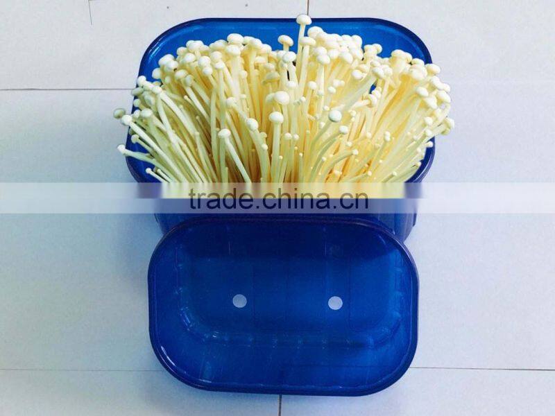 China Professional Manufacturer&Exporter Thermoformed Frozen Plastic Food Tray