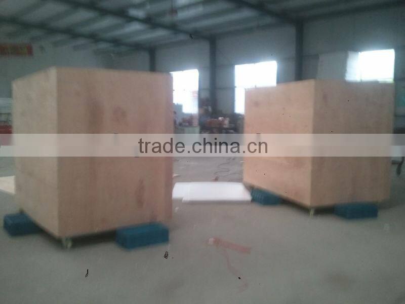 Green bean sprout making machine/machinery/maker