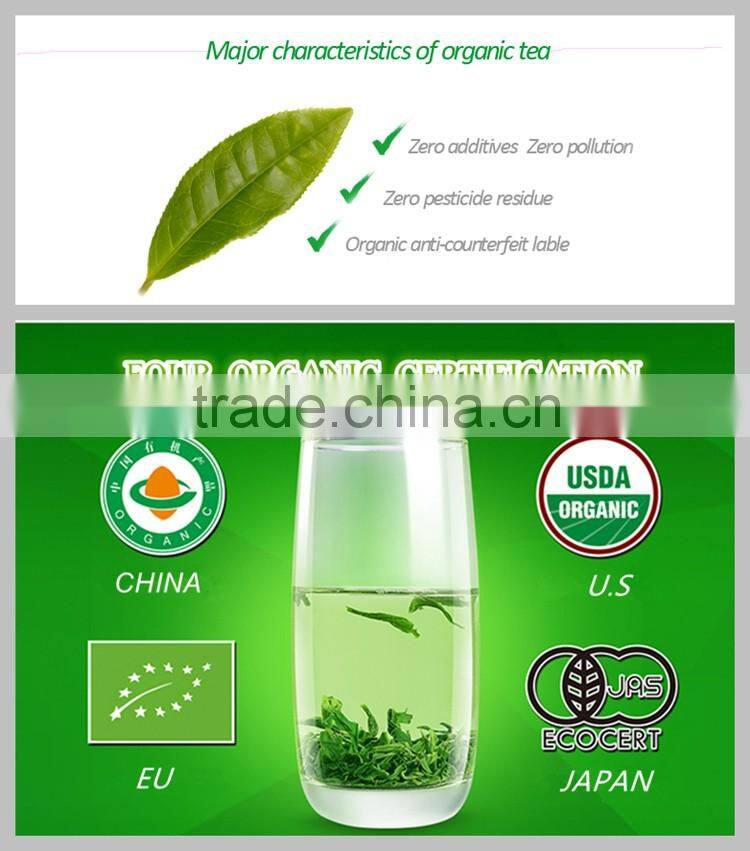 Quality guaranteed fresh Green Tea leaves organic/green tea bags bulk