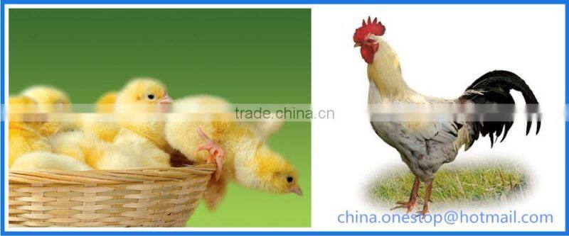 Poultry Farm Equipment/Broiler Cage Poultry Equipment