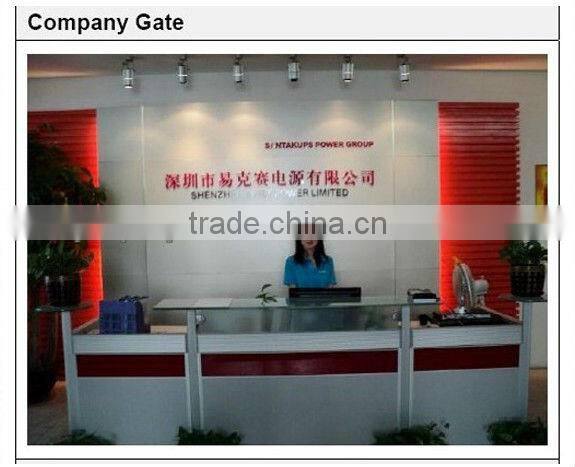 pure sine wave 100 watt power inverter 12v 220v