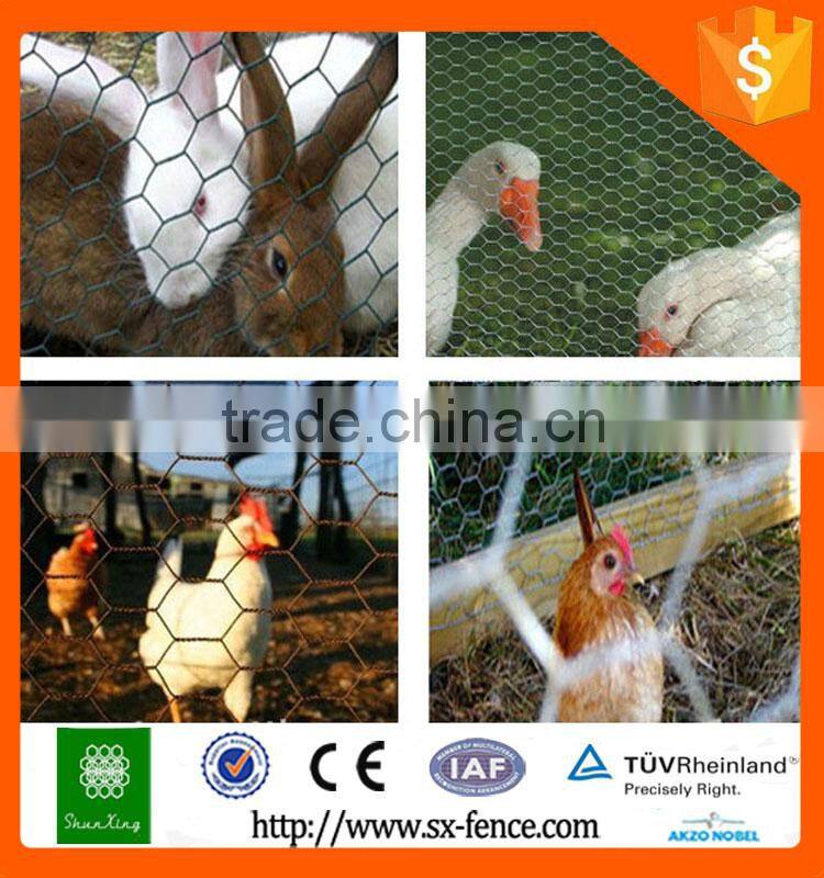 Anping Factory direct hexagonal wire netting with best price and quality