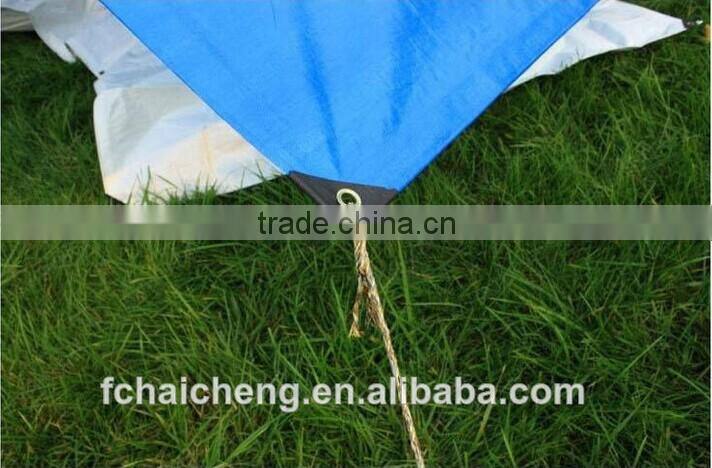 PE plastic canvas awning of boat,polyethylene tarpaulin