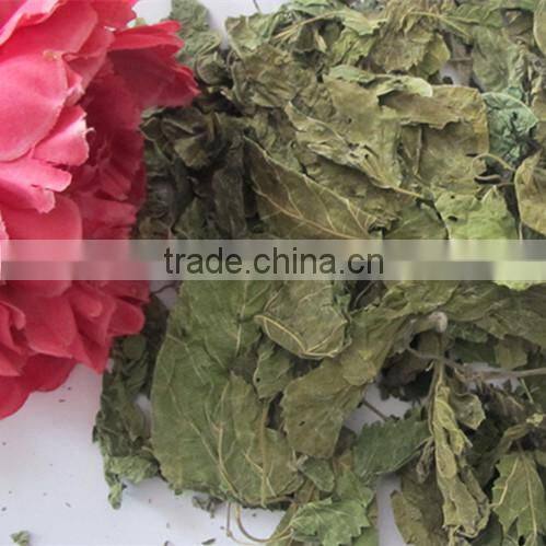 Mulberry leaf natural herbal tea