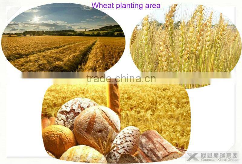 most popular organic vital wheat gluten