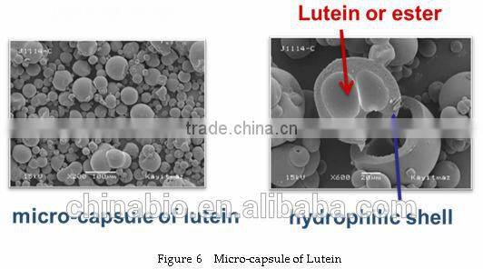 GMP Certified Manufacturer Supply Lutein Supplement