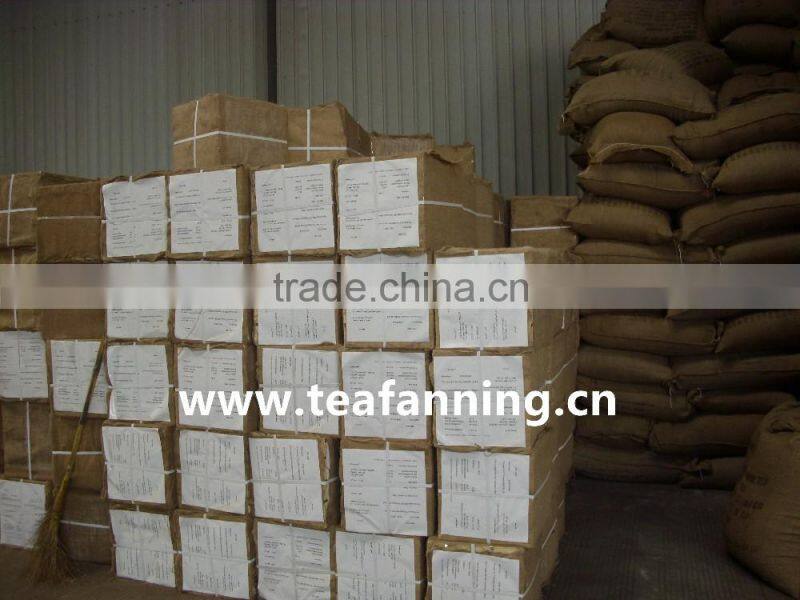 China Green tea-Gunpowder Green tea 3505AAA