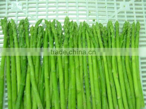 2016 Frozen green spring/summer asparagus cut/whole from sunnywellfoods company