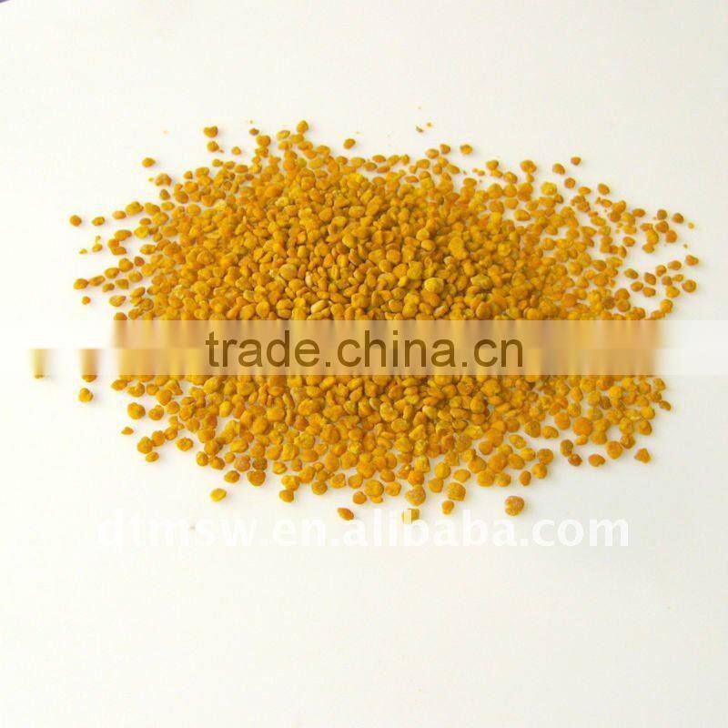 Bee product bee pollen from manufacturer