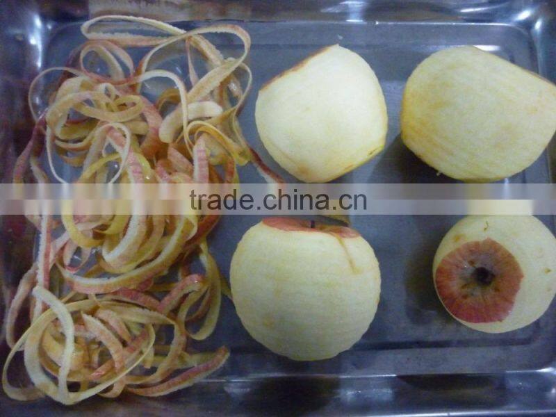 Good quality best price apple peeler corer slicer machine for sale