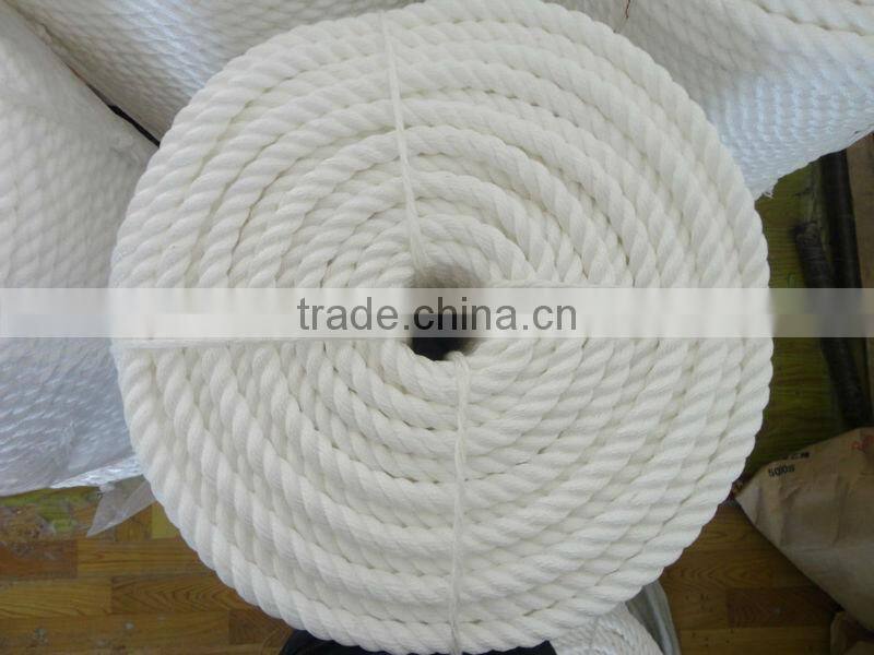 white boundary rope in cricket