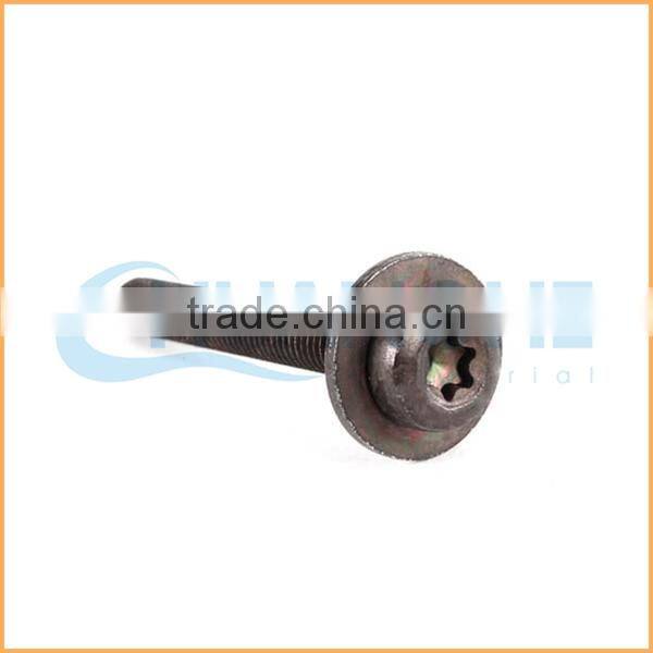 Best price 12.9 grade torx screw