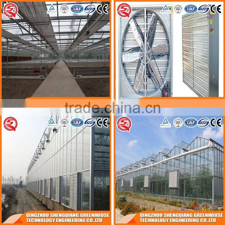 Factory Direct Sale Multi Span Agricultural Glass Greenhouse
