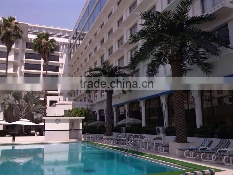 Amusement park decoration use date palm trees