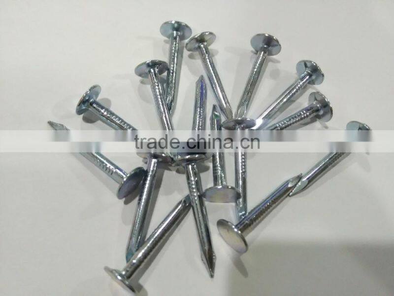 Big Head Ceiling Nails/Galvanized Clout Nails