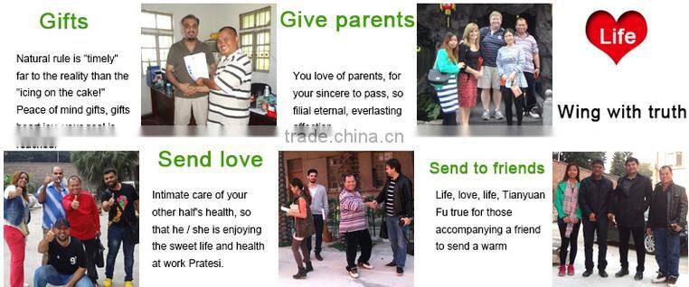 high sale supplier artificial artificial coconut palm tree for decoration