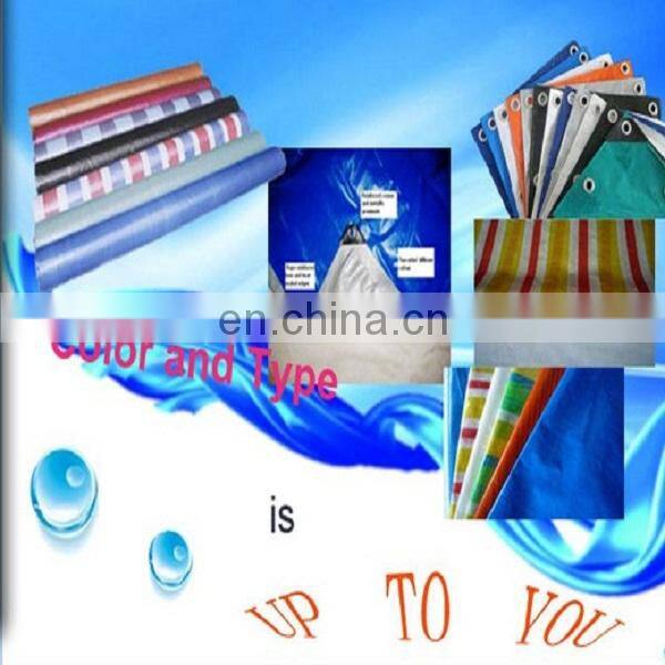 Canvas Cover Pe Tarpaulin in roll