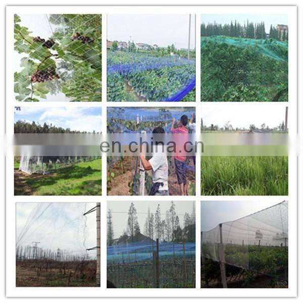 HDPE anti bird net which exported to Australia, USA, Korea