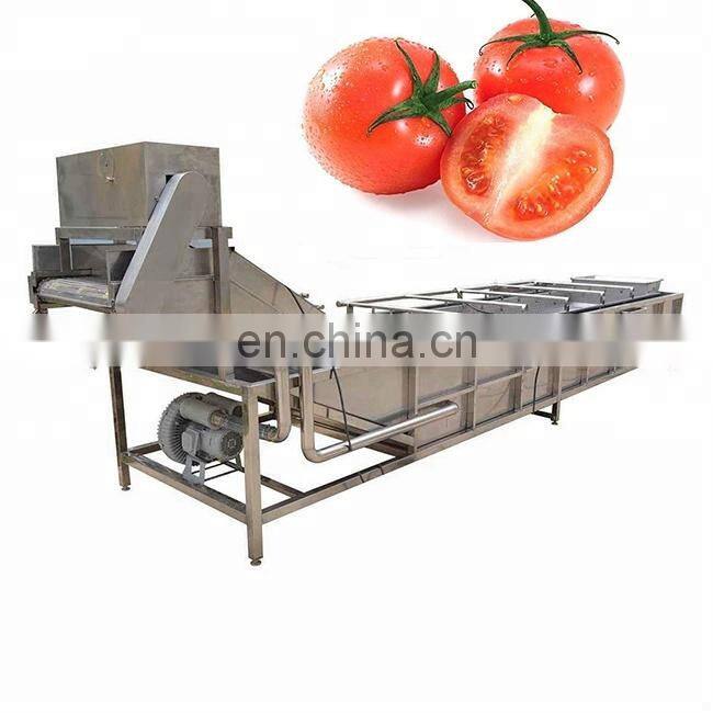 small tomato washing machine for selling