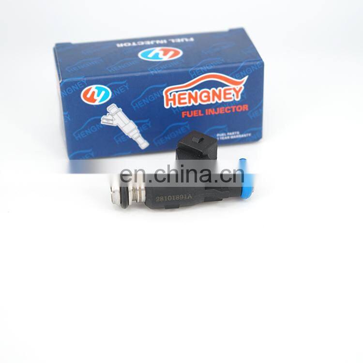 Auto engine parts 28101891A For Geely MK1 MK2 MK-Cross Gasoline Fuel Injector Nozzle