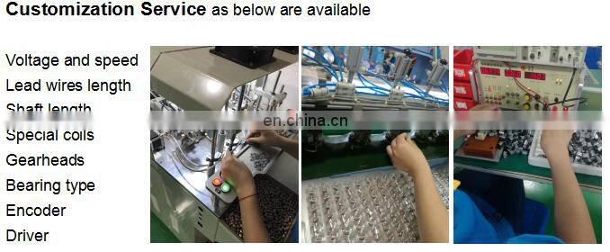 3V 12V 24V High torque brush DC planetary gear motor for precision instrument