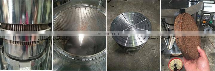 avocado oil expeller/herb oil extraction equipment/oil squeezed machine price