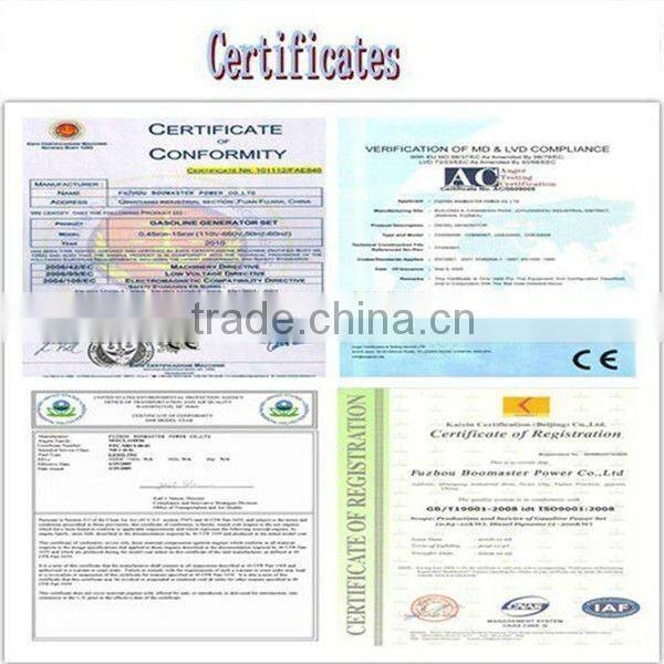 800W Digital gasoline Inverter generator