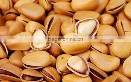 Pinenut Color Sorting