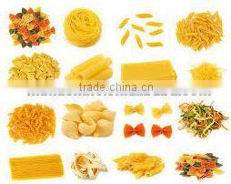 macaroni pasta producing line