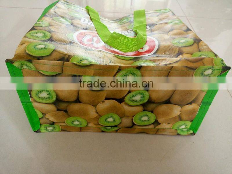 Vietnam Reusable Laminated Shopping Bag