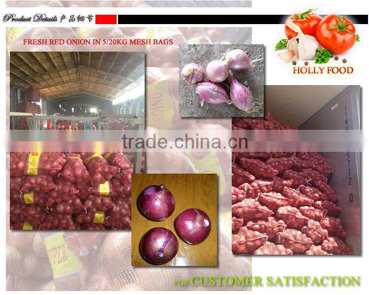 5kg 20kg mesh bag fresh red onion 4-7cm 5-8cm ASEAN southest asia middle east Arabic Pakistan