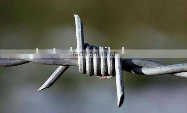 ISO9001 factory galvanized barbed wire