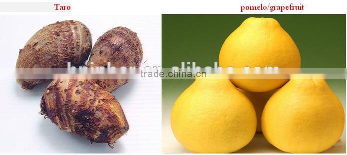 120pcs/h stainless steel taro pumpkin peeler equipment for sale